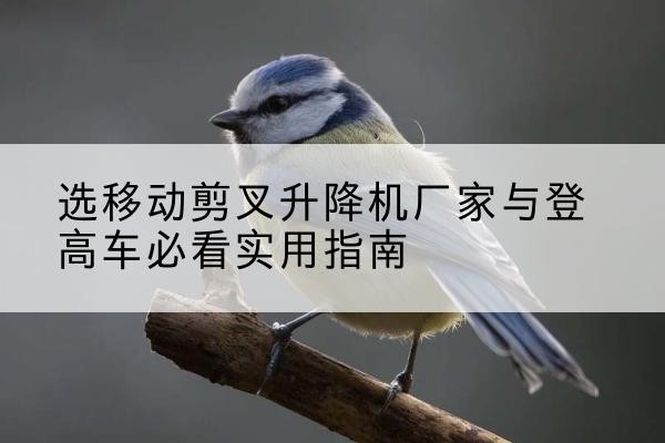 瓦房店电动升降机厂家-选移动剪叉升降机厂家与登高车必看实用指南