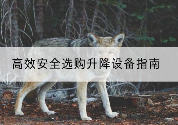 瓦房店升降货梯厂家推荐-*安全选购升降设备指南